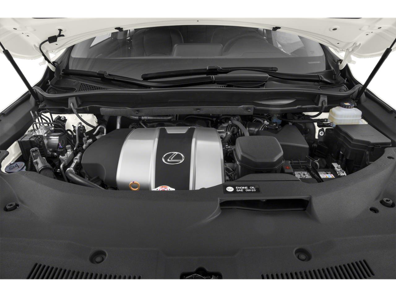 2019 Lexus RX 350 Vehicle Photo in Appleton, WI 54913