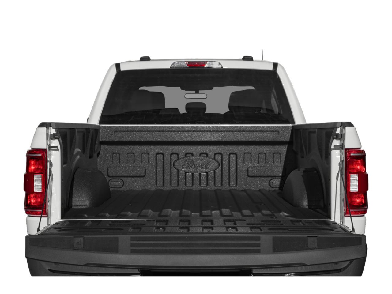 2021 Ford F-150 Vehicle Photo in Oshkosh, WI 54901