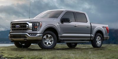 2021 Ford F-150 Vehicle Photo in Oshkosh, WI 54901